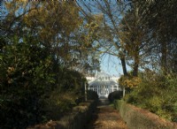 Autumn foliage surrounding a path leading to the conservatory at Chiswick House and Garden