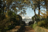 Autumn foliage surrounding a path leading to the conservatory at Chiswick House  and  Garden