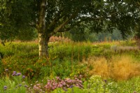 Autumn shades in the Oudolf field in the Millennium Garden: Sedum 'Matrona', Miscanthus, and Persicaria at Pensthorpe Natural Park.