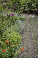 Mixed vegetable and flower patch with Geum Mrs Bradshaw, Allium 'Purple Sensation', Centaurea montana and forget me not alongside onions