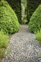 Cobbled path at the Old Rectory, Netherbury, Dorset in May