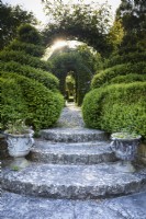 Curved steps framed by clipped box spirals a the Old Rectory, Netherbury, Dorset in May