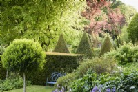 Formal garden of the Old Rectory, Netherbury, Dorset in May with lollipop Portuguese laurels, Prunus lusitanica, and clipped yews 