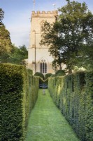 A corridor of crenellated yew at the Old Rectory, Netherbury, Dorset in May leading towards the tower of St Mary's Church