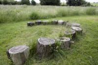 A horseshoe of tree rounds offers a place to sit or gather in a wildflower meadow at Westclyst Barnyard, Devon. An NGS garden. July. Summer.