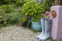 A pair of wellies sits outside the door ready for action beside pots and a well filled border in a cottage style garden. Combe Cottage, NGS garden, Devon. July. Summer.