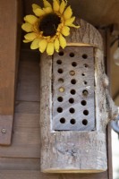 A home made bee hotel, set in the rafters of a summer house, attracts solitary bees. 
