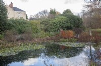 Winter garden with colourful foliage. House. Pond with Nymphaea syn. waterlilies and reflections. Heron sculptures. Rhododendrons.