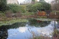 Winter garden with house, pond, Nymphaea syn. waterlilies and reflections. Heron sculptures. White ducks. Rhododendrons.