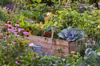 Organic kitchen garden with raised beds and garden tools.