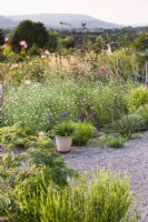 Gravel garden at Highfield Farm in August with countryside view beyond.