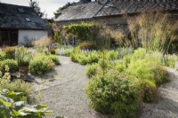Internal courtyard at Am Brook Meadow in Devon in June with planting including Stipa gigantea, Stachys byzantina and Geranium psilostemon.