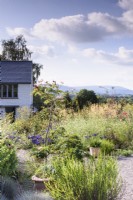 Gravel garden at Highfield Farm in August with views toward the hills of Monmouthshire beyond.