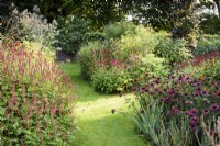 Borders packed with herbaceous perennials including Echinacea purpurea 'Fatal Attraction' at Highfield Farm in August.