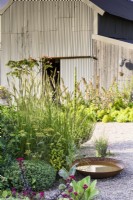 Gravel garden with grasses, shrubs and herbaceous perennials in August with a corrugated tin barn behind.