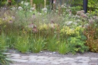 Stone pathway with gravel for drainage. Soft planting scheme includes Echinacea pallida, Bupleurum falcatum, Selinum wallichianum and Sporobolus heterolepis - prairie dropseed. Chelsea Flower Show 2021.