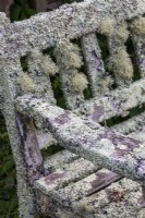 Lichen covered bench