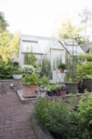 Greenhouse in kitchen garden 