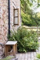 Wooden bench on decking beside border of ferns at College Barn, Somerset in July