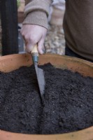 Making drills with trowel to sow Spinach in outdoor container 