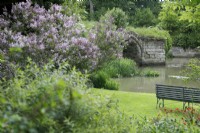 View of the ruins of the old bridge at Mill Street Garden through the lilac - May