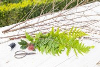 Birch sticks, Pussy willow sticks, Skimmia japonica sprig, various fern fronds, wire and garden scissors laid out on a wooden surface