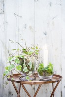 Indoor still life displays with ivy, fern fronds, moss and a candle