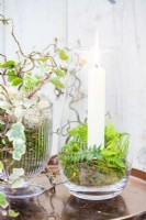 Indoor still life displays with ivy, fern fronds, moss and a candle