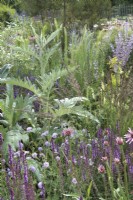 Border with Cynara cardunculus in the Iconic Horticultural Hero Garden. A Climate Resilient Perennial Meadow. Hampton Court Flower Festival 2021
