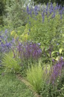  Mixed blue themed border in the Iconic Horticultural Hero Garden. A Climate Resilient Perennial Meadow. Hampton Court Flower Festival 2021