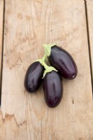 Aubergine 'Pot Black' on a wooden table
