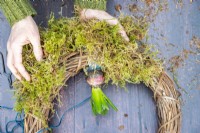 Woman placing moss around the roots of the Hyacinth bulb