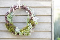 Winter wreath hanging on a wooden wall
