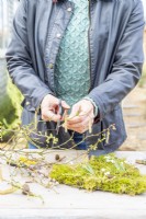 Woman cutting catkins from a hazel branch