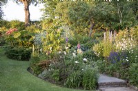 View of summer flowering borders in a cottage garden - June