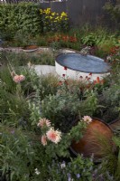 Finding Our Way: An NHS Tribute Garden. Water rills and small pools amongst vibrant planting. Plants include Kniphofia, Echinacea, Dahlia, Panicum virgatum, Agastache and Verbena bonariensis. Designer: Naomi Ferrett-Cohen. Chelsea Flower Show 2021.