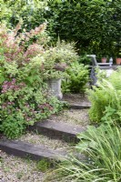 Shallow timber edged steps between lush foliage in a June garden