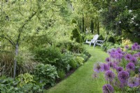 A grassy path between lush borders in a June garden