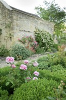 Cotswold manor garden, roses
