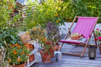 Roof terrace with container grown tomatoes, French marigold and basil.