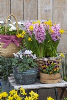 Set against an oak door, a spring display of wooden sieves, baskets and kettle planted with Narcissus 'Tete-a-Tete', Hyacinth 'Fondant', annual violas, white bellis daisies and cyclamen.
