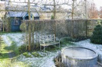 View of walled town garden in winter with box topiary hawthorn hedge and pleached field maples. Wrought iron garden bench, raised circular pond covered with wire mesh to protect fish from Herons. January