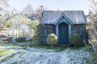View of garden studio and traditional style greenhouse in wild garden in winter with box topiary. January