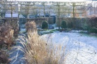 View of formal town garden in winter with seedheads in herbaceous borders beside path. Box topiary and pleached field maples, Miscanthus sinensis 'Yakushima Dwarf'. January