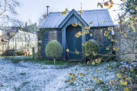 View of garden studio and traditional style greenhouse in wild garden in winter with Chimonanthus praecox Grandiflorus' in flower. January