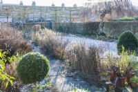 View of walled town garden in winter with box topiary, pleached field maples and weeping birch tree