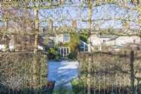 View of victorian house through gap in hawthorn hedge and pleached field maples. January