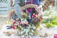 Woman placing Skimmia japonica sprig at the base of the wreath
