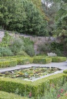 Victorian lily pond on upper terrace of Victorian walled-garden with high, brick walls.

Nymphaea syn. water-lily, water-lilies. Low hedging of Buxus sempervirens syn. box. 
