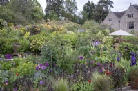 Foeniculum vulgare, Fennel, Penstemon 'Dark Towers', Allium 'Purple Sensation', Thalictrum and Angelica in cottage garden borders.